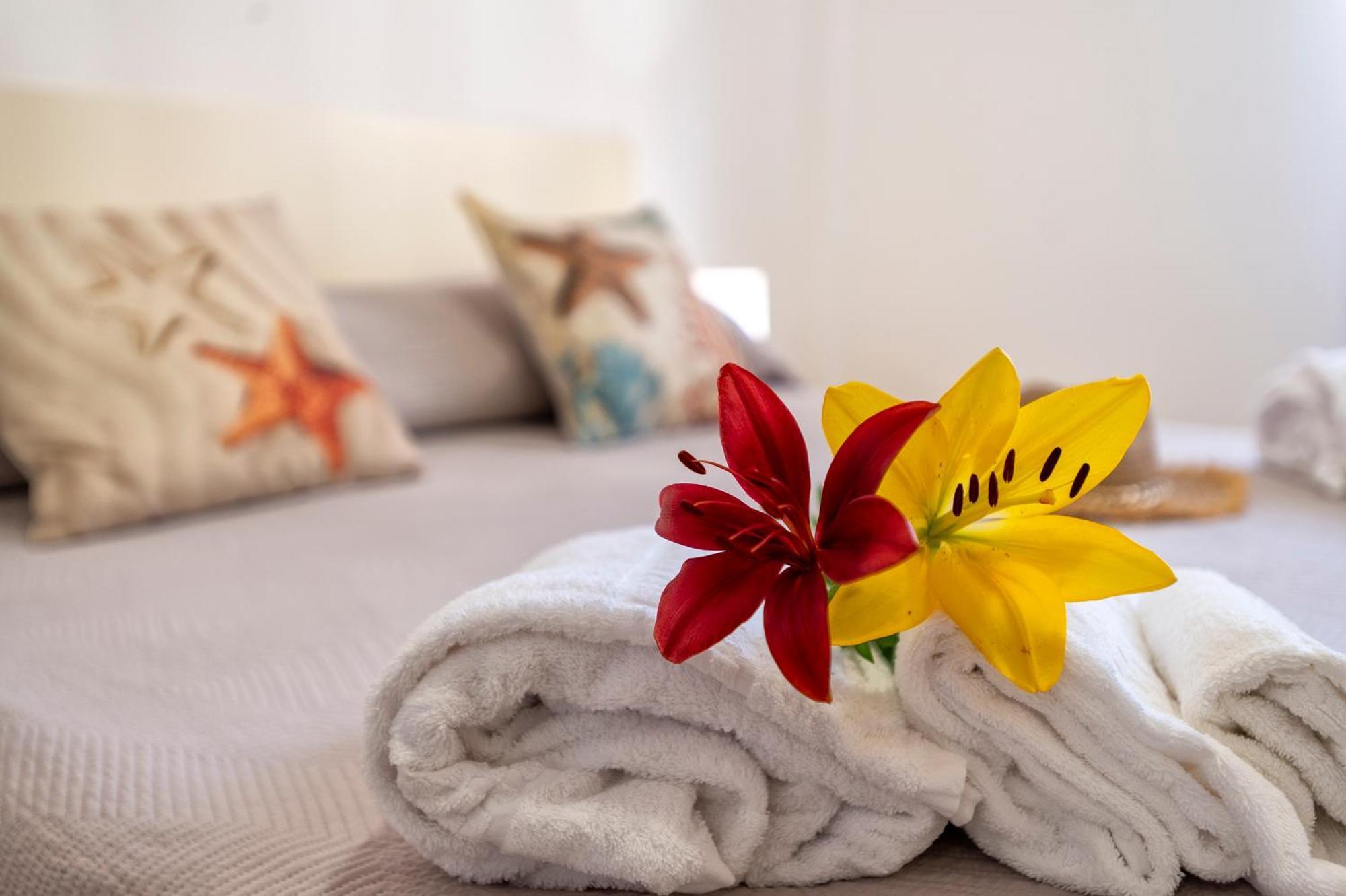 Balearhome Αλγκέρο Εξωτερικό φωτογραφία
